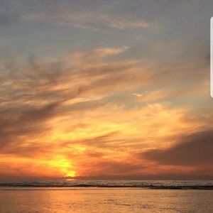 Meet your Posher, Rosie